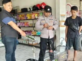 Bobol ruko di Pakisaji, pria asal Kota Malang gasak burung dan 43 karung beras (foto: istimewa)