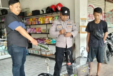 Bobol ruko di Pakisaji, pria asal Kota Malang gasak burung dan 43 karung beras (foto: istimewa)