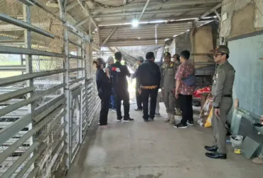 Satpol PP surati bangunan milik Pak Dur, minta dibongkar karena ganggu irigasi dan jalan pertanian (foto: istimewa)